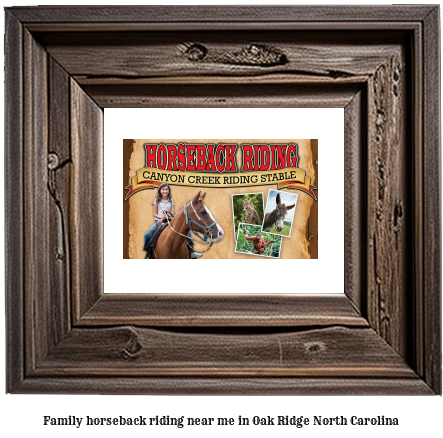 family horseback riding near me in Oak Ridge, North Carolina